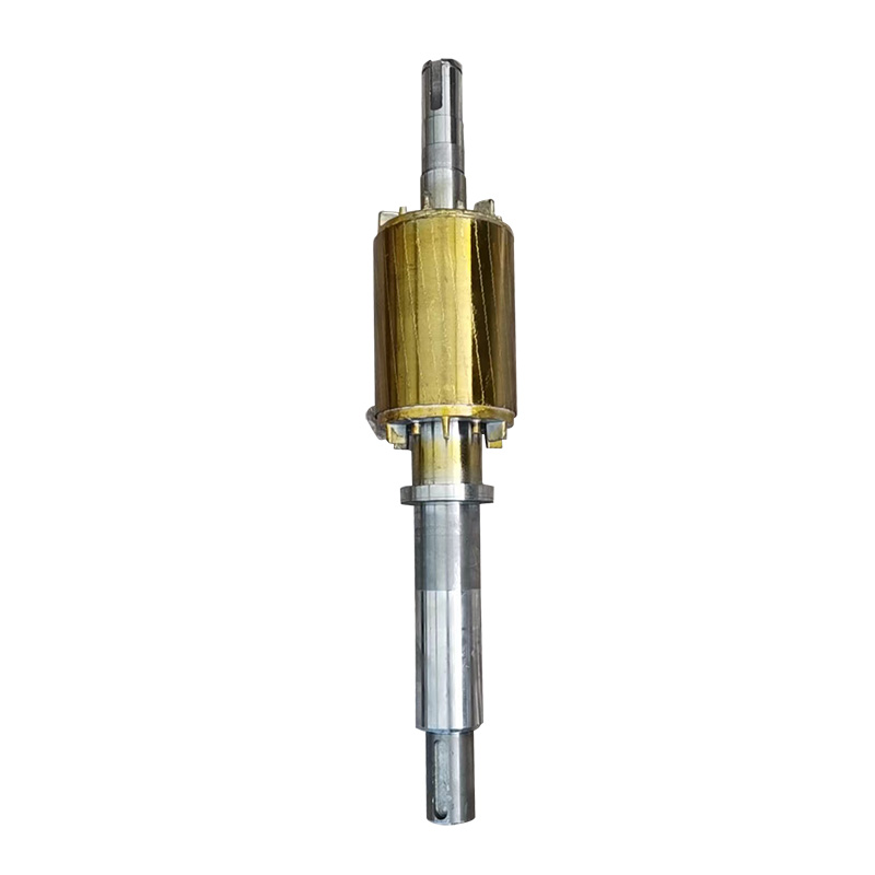 Motor rotor shaft